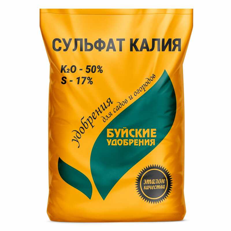 Уфадағы бисексуалдар Уфадағы бисексуалдар